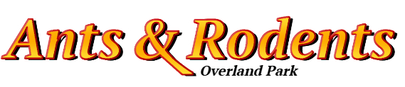 Overland Park Ant Exterminator & Rodent Control Company Logo